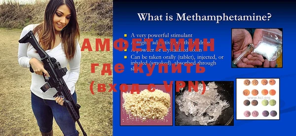 шишки Мегион