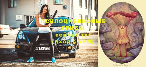 гашиш Абаза