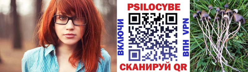 Псилоцибиновые грибы мухоморы где продают Чухлома